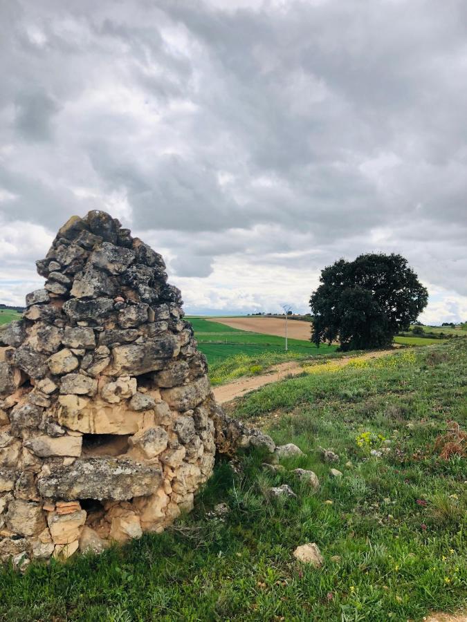 Apartamentos Ribera Del Duero Las Escuelas Vadocondes エクステリア 写真