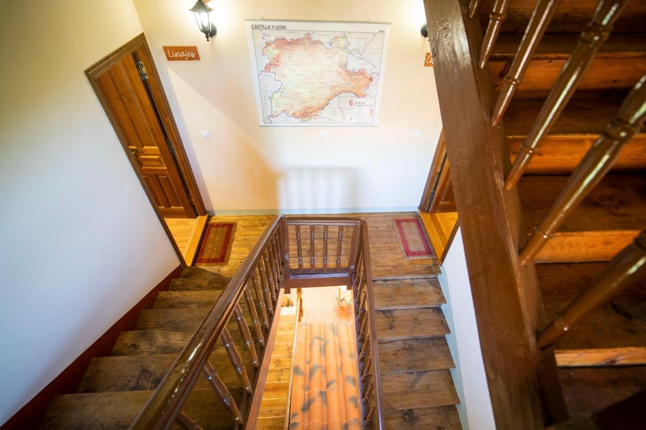 Apartamentos Ribera Del Duero Las Escuelas Vadocondes エクステリア 写真